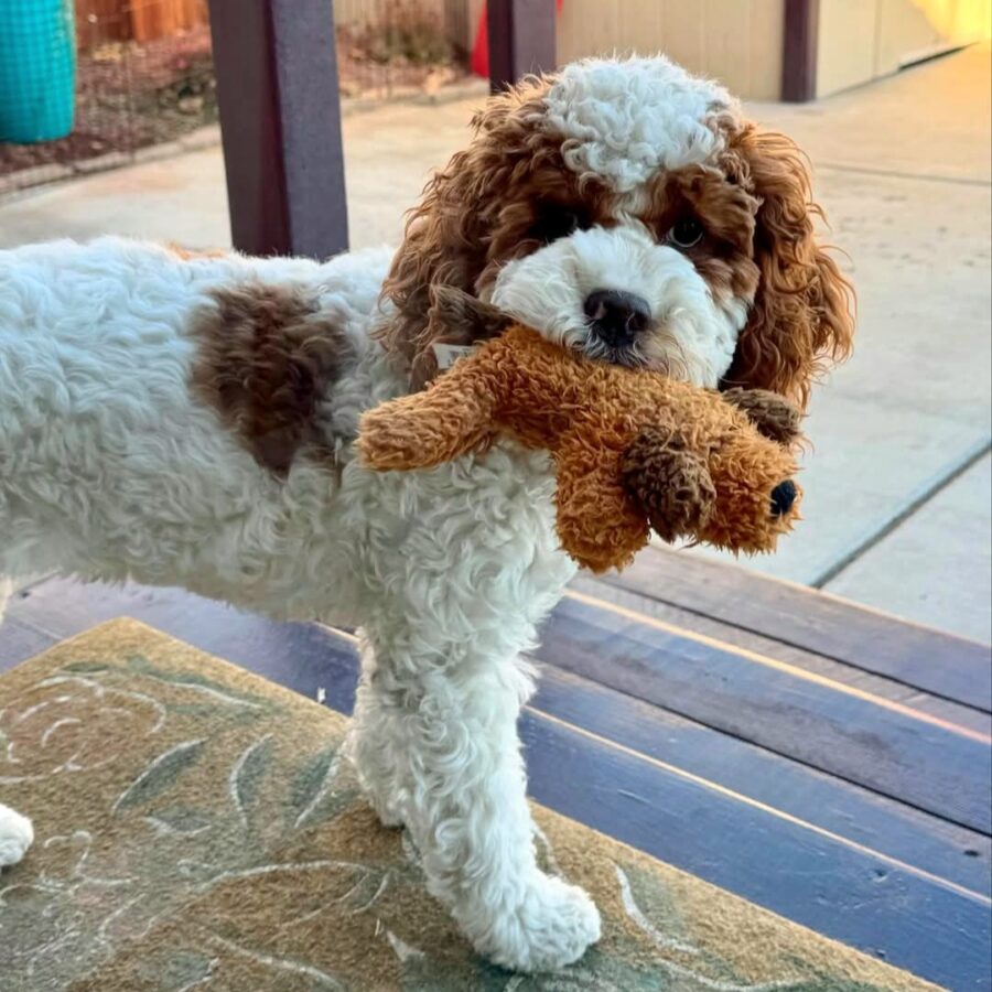 Screenshot_20250807_112608_Facebook[1]