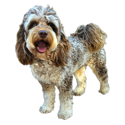 20250806_084243_(1)_(1)[1]