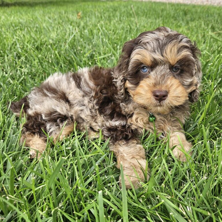 20240701_1611101-900x900