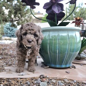 20260330_192105_001[1]