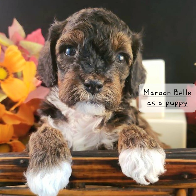 IMG_20210918_171108_278