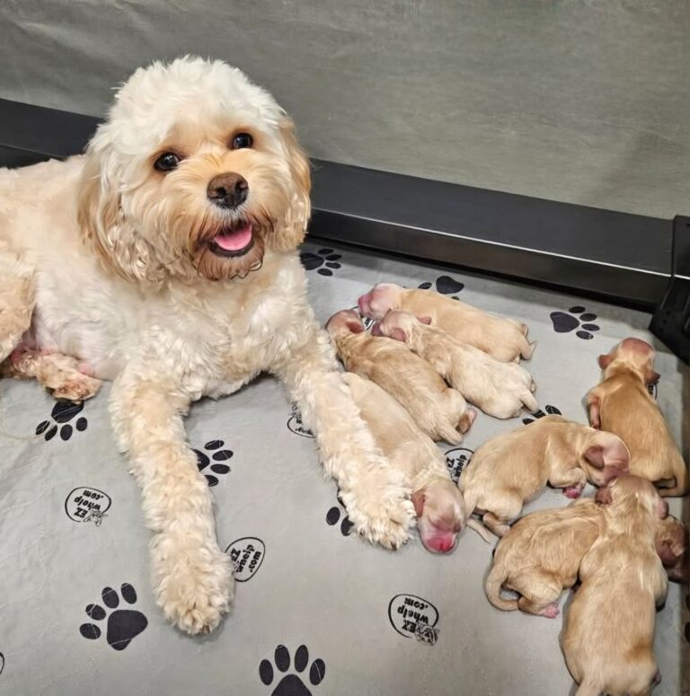 Screenshot_20260418_173546_Facebook[1]