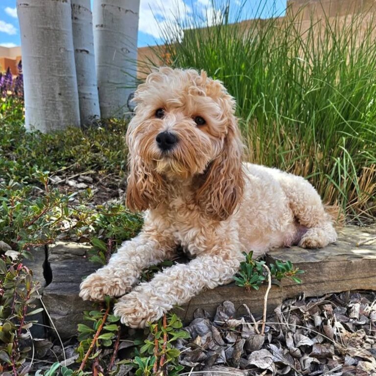 Screenshot_20260418_211241_Facebook[1]