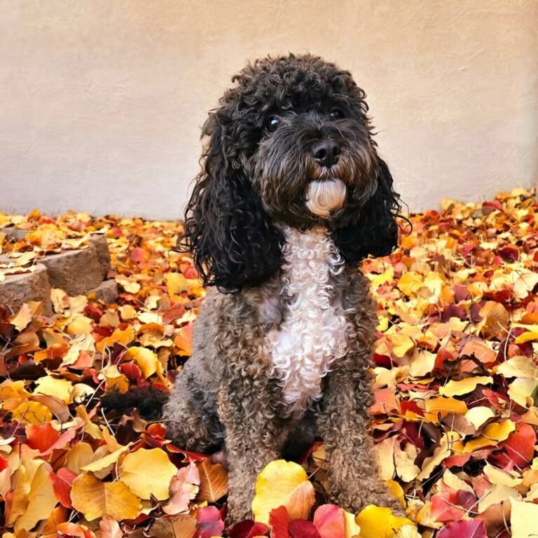 Screenshot_20260418_211343_Facebook[1]