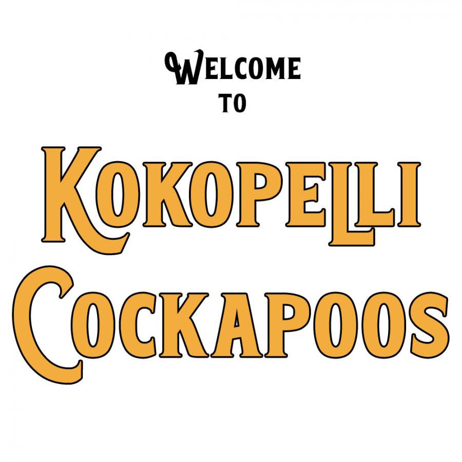 Southwest Cockapoo Breeders | Kokopellli Cockapoos