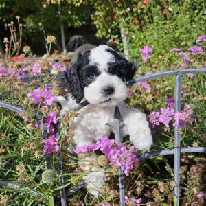 20240824_0932051-scaled