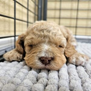 20241008_1118261-scaled