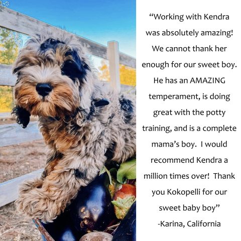 Karina testimonial