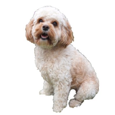 Sadie-website-1-scaled-e1728872786588